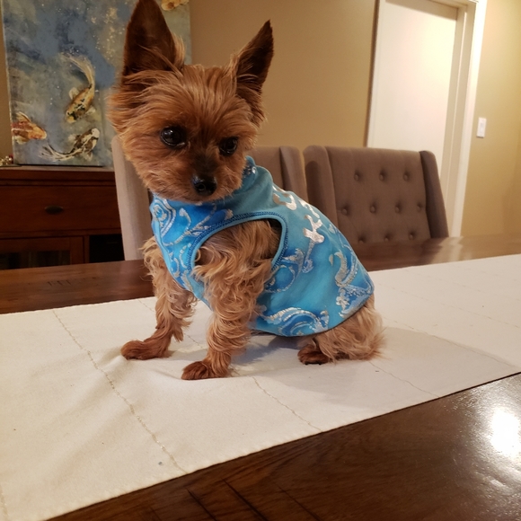 Host Pick 🤩🐕🥰 "Good Karma" Doggo Shirt - Picture 6 of 12